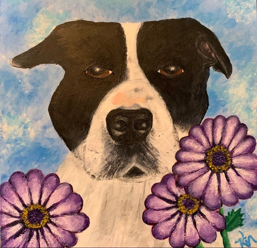 Commission Pet Portraits