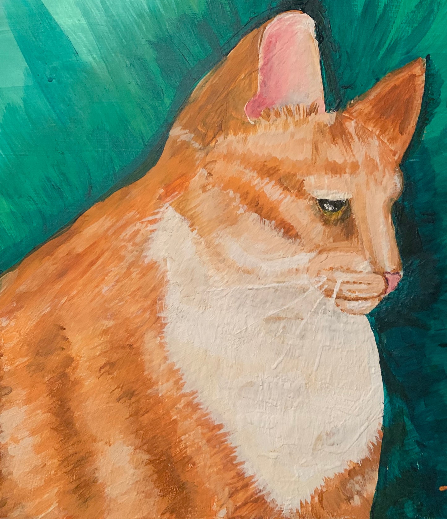 Commission Pet Portraits